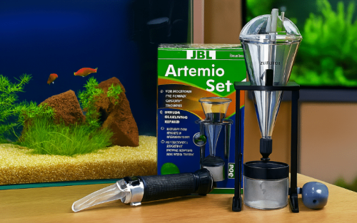 Artemia Aufzucht Set Test: Die 5 besten (Bestenliste)